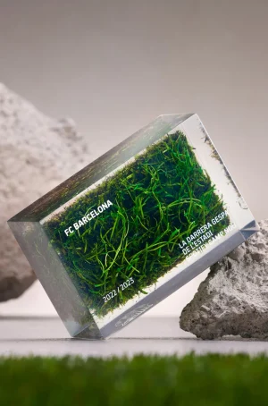 Originalrasen aus dem stadion Spotify Camp Nou. Methylacrylat. | FC Barcelona Clearance